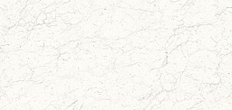 Sloplast 1305 (12)