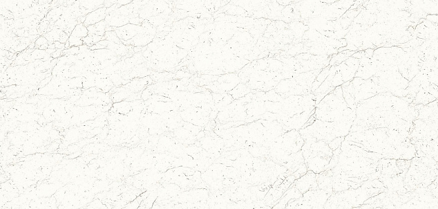 Sloplast 1305 (12)