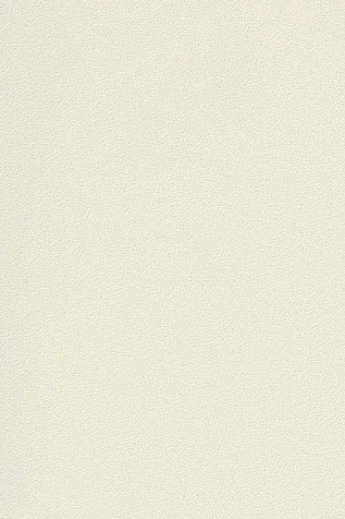 17 - MYSORE IVORY 8 мм