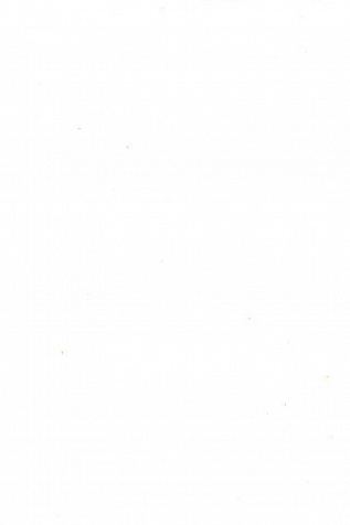 601XL - NEW ARTIC WHITE 12 мм